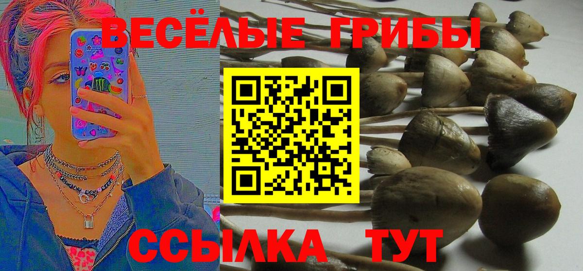 Галлюциногенные грибы прущие грибы Тавда