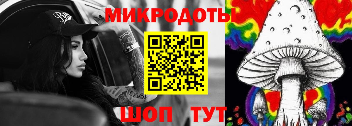 Тавда  Псилоцибиновые грибы Psilocybine cubensis  Вход с VPN 